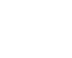 Fybr
