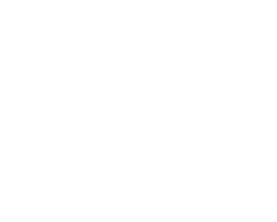 Symbotic